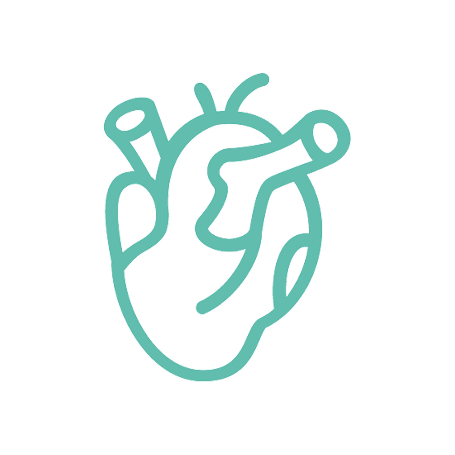 Cardiac Surgery