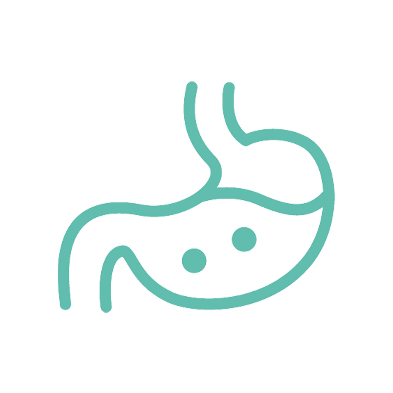Gastroenterology and Endoscopy