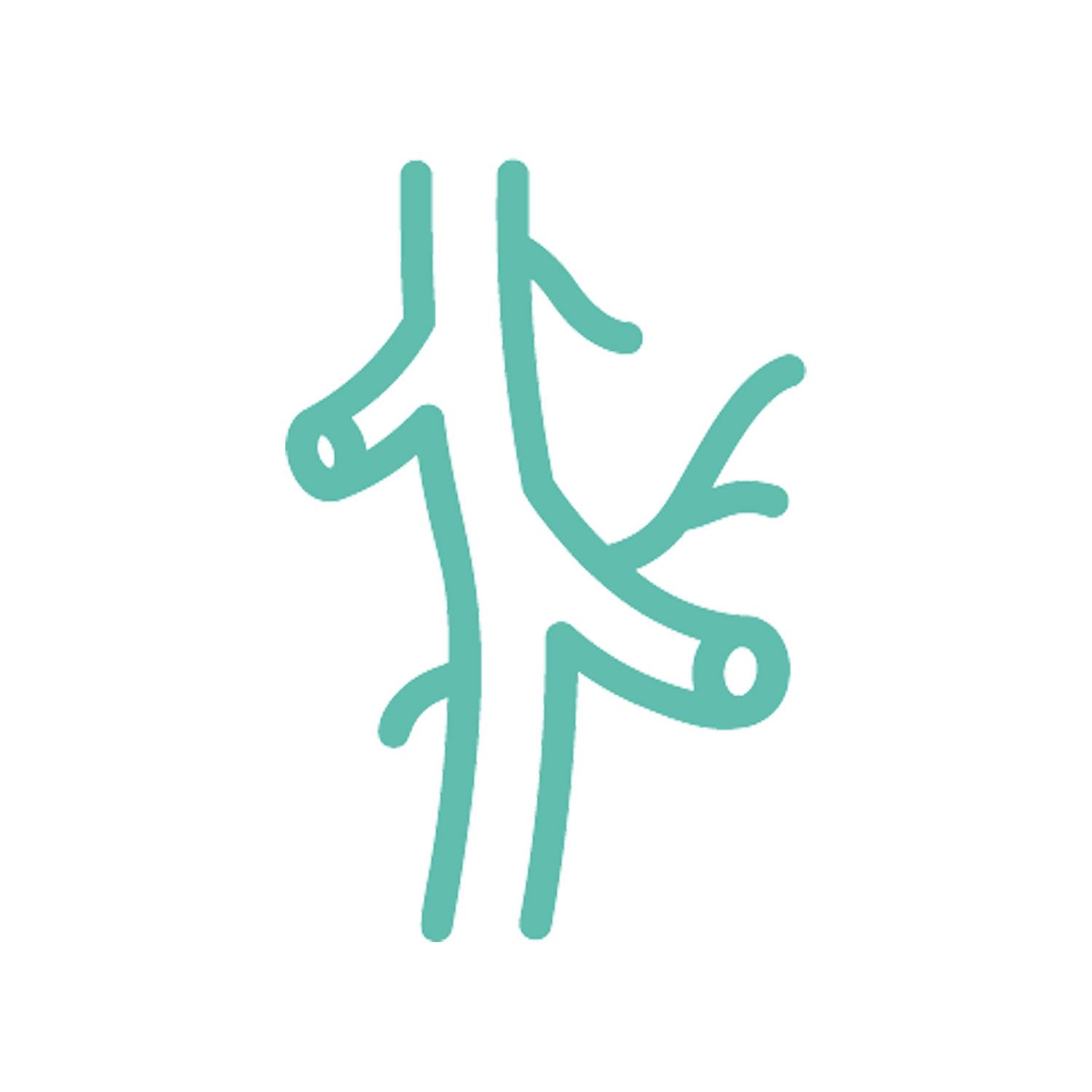 Vascular Surgery